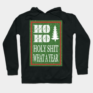 Ho Ho Holy Shit What a Year Hoodie